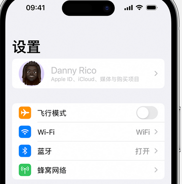 蒲县appleID维修服务iPhone设置中Apple ID显示为灰色无法使用 