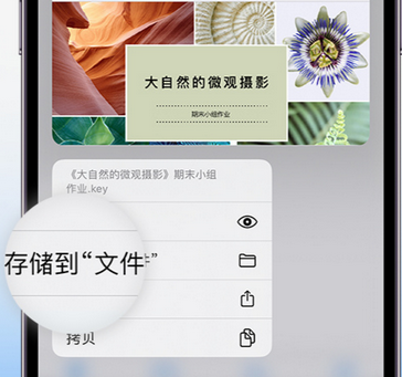 蒲县apple维修中心分享iPhone文件应用中存储和找到下载文件