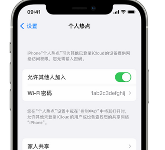 蒲县apple服务站点分享iPhone上个人热点丢失了怎么办 