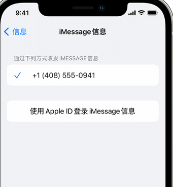 蒲县apple维修iPhone上无法正常发送iMessage信息