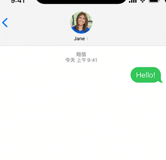 蒲县apple维修iPhone上无法正常发送iMessage信息