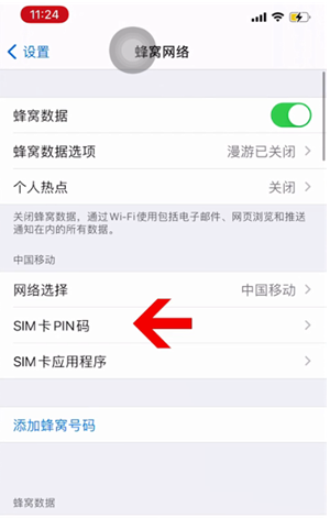 蒲县苹果14维修网分享如何给iPhone14的SIM卡设置密码 