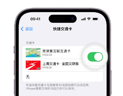 蒲县apple维修点分享iPhone上更换Apple Pay快捷交通卡手绘卡面 