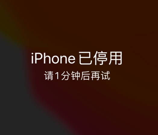 蒲县苹果手机维修分享:iPhone 显示“不可用”或“已停用”怎么办？还能保留数据吗？ 