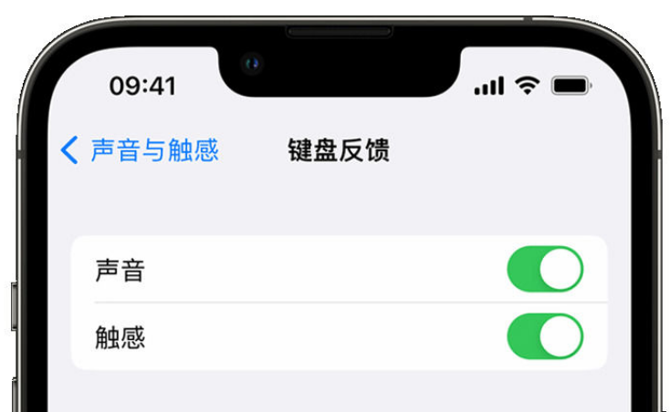 蒲县苹果手机维修分享iPhone 14触感键盘使用方法 