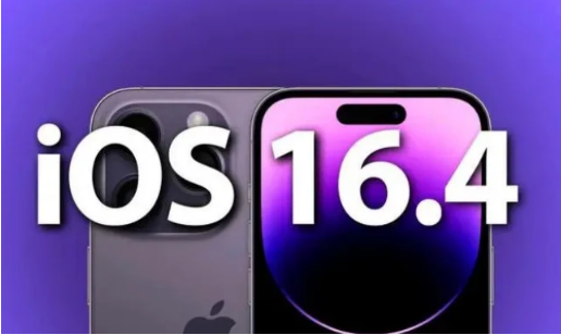 蒲县苹果14维修分享：iPhone14可以升级iOS16.4beta2吗？ 