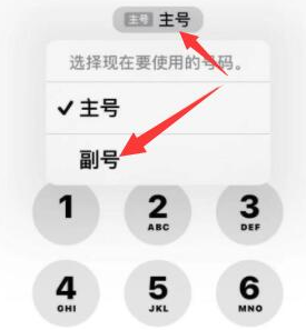 蒲县苹果14维修店分享iPhone 14 Pro Max使用副卡打电话的方法 