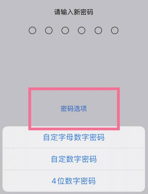 蒲县苹果14维修分享iPhone 14plus设置密码的方法 