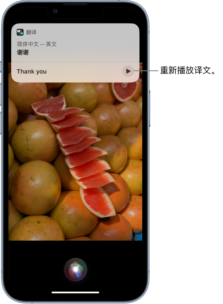 蒲县苹果14维修分享 iPhone 14 机型中使用 Siri：了解 Siri 能帮你做什么 