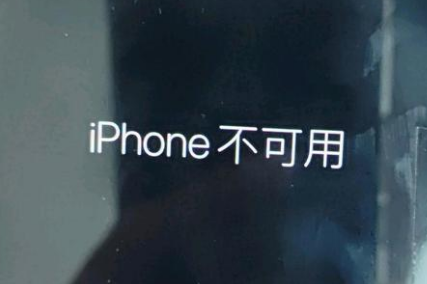 蒲县苹果服务网点分享锁屏界面显示“iPhone 不可用”如何解决 