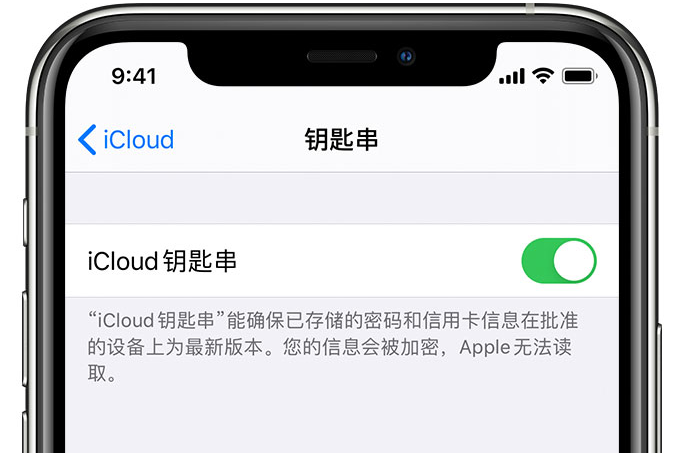 蒲县苹果手机维修分享在 iPhone 上开启 iCloud 钥匙串之后会储存哪些信息 