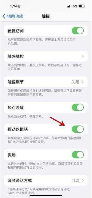 蒲县苹果手机维修分享iPhone手机如何设置摇一摇删除文字 