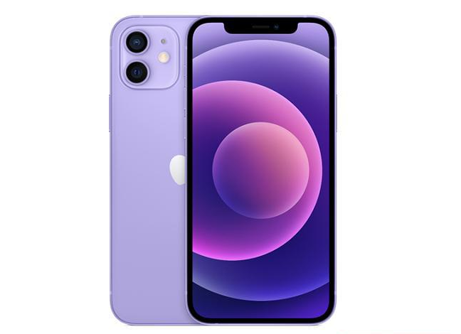 蒲县苹果手机维修分享现阶段要不要入手紫色版iPhone12 